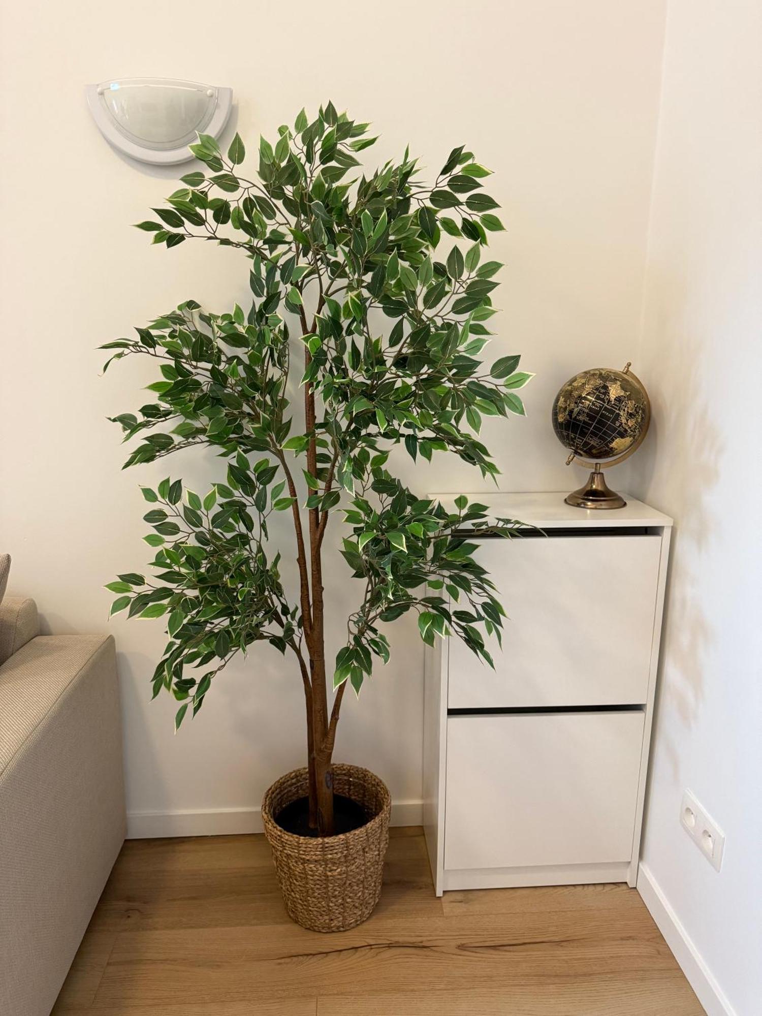 Cozy South-up And Ground Apartment